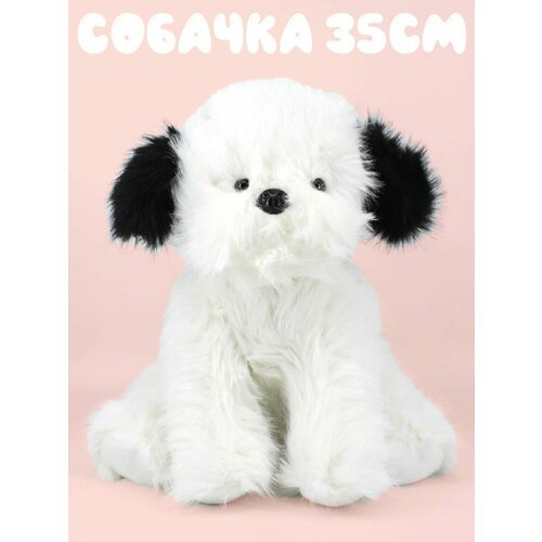 Собачка сидит белая с черными ушами 35см
