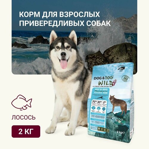 Корм для собак сухой Dog & Dog Wild Ocean, лосось 2кг (от года)