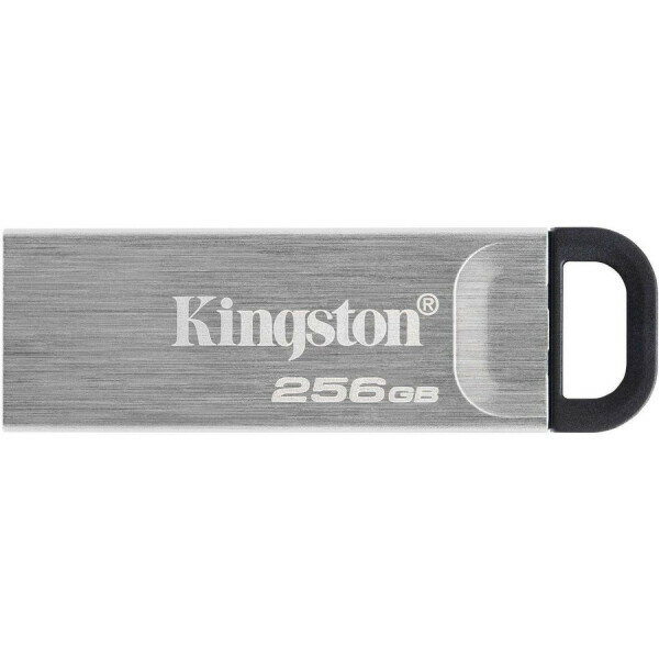 Флеш-диск Kingston DataTraveler DTKN/256GB