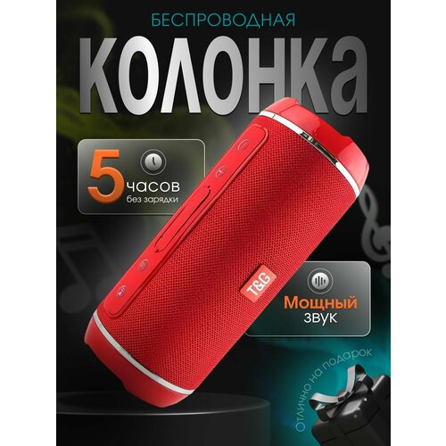 Колонка - Портативная музыкальная акустика с радио и блютуз 5 ВТ Speaker (FM, USB и TC воспроизведение (с карты памяти, с флешки и радио)