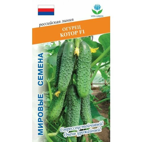 Семена растения Огурец Котор F1 366₽