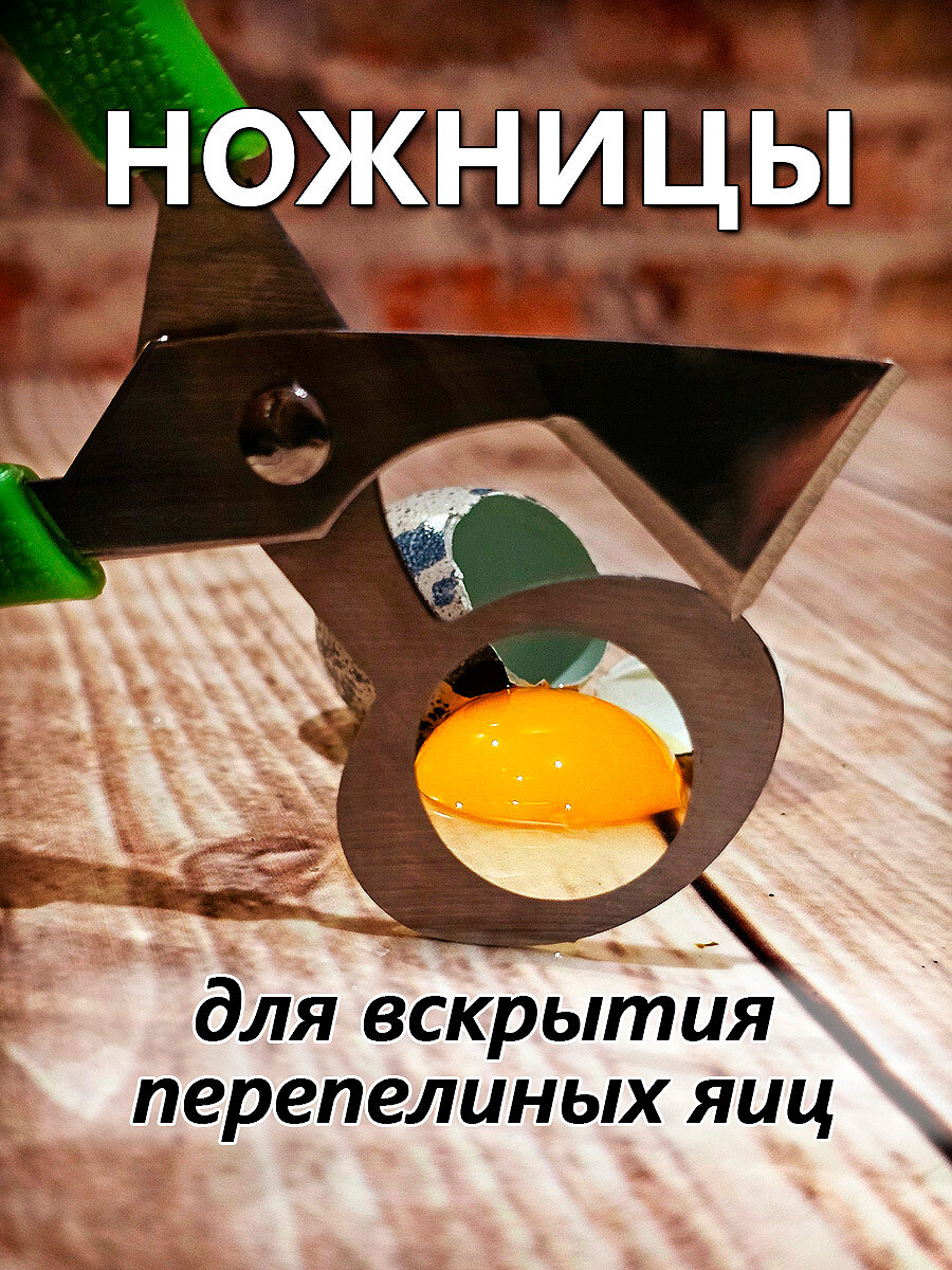 Ножницы для вскрытия перепелиных яиц IFedo (зеленые) для кухни