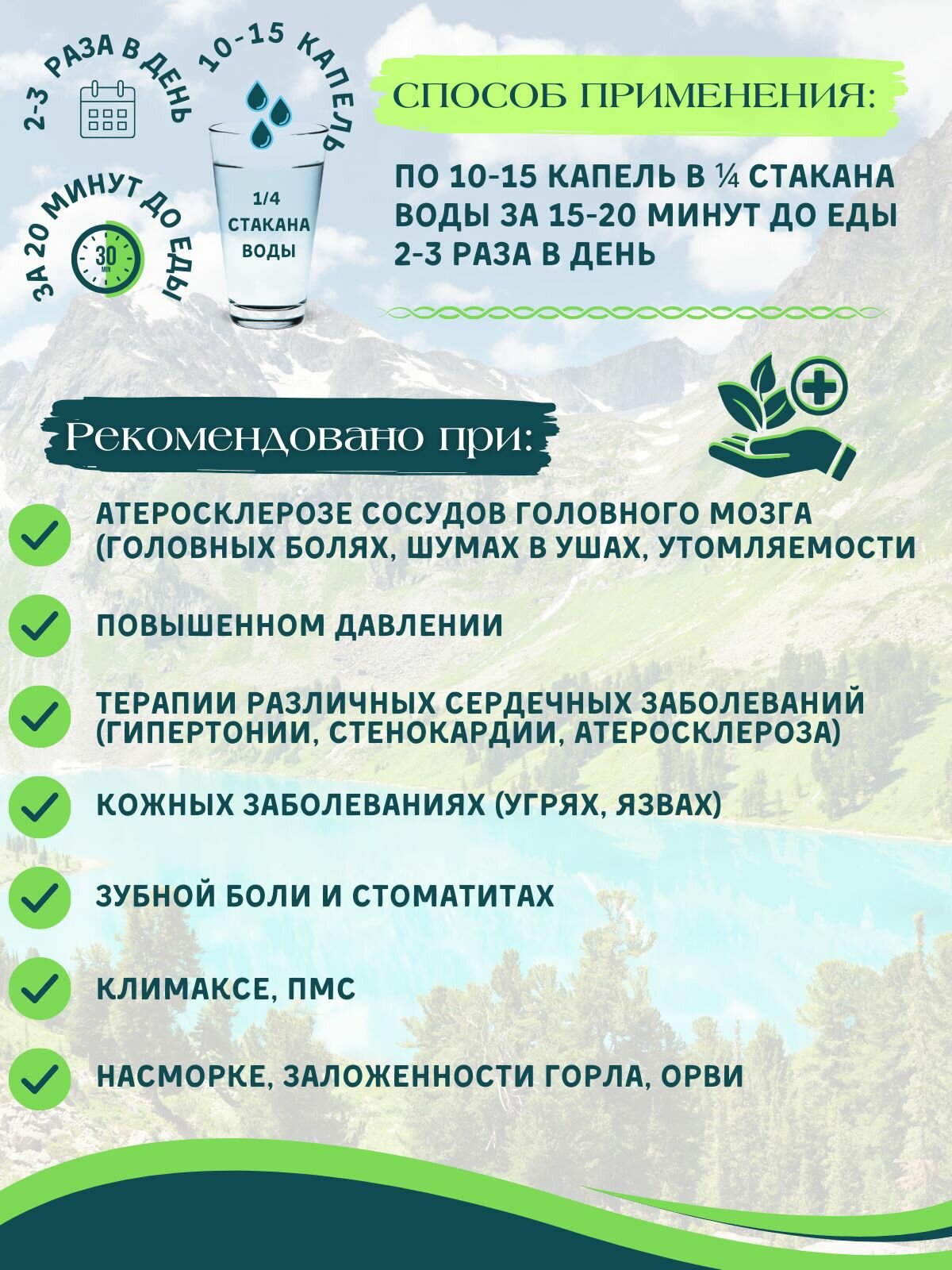 Картинки Мята перечная экстракт