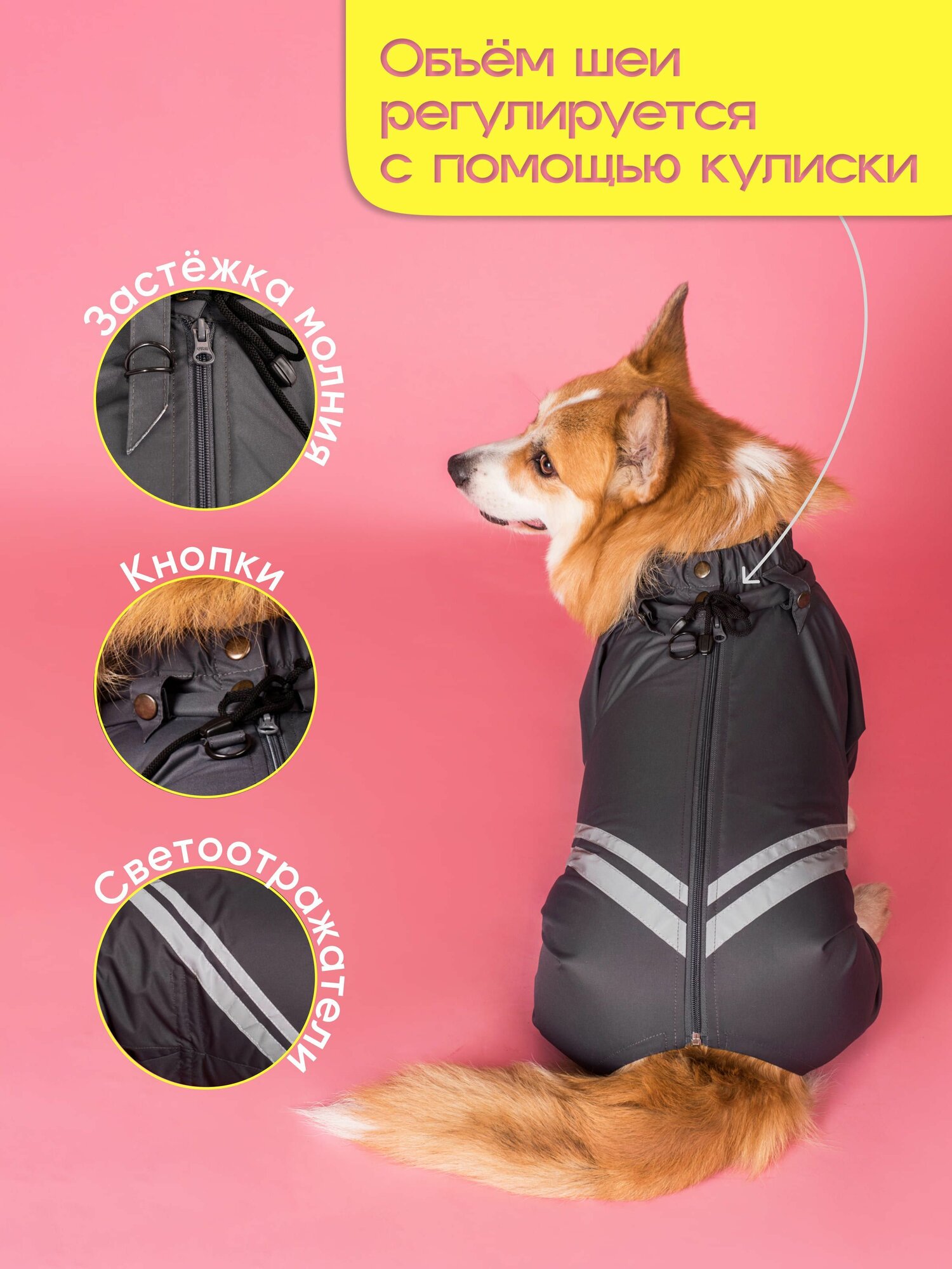 Грязезащитный комбинезон DiploDog для Корги (девочка), Одежда для Корги (девочка) — фото 1