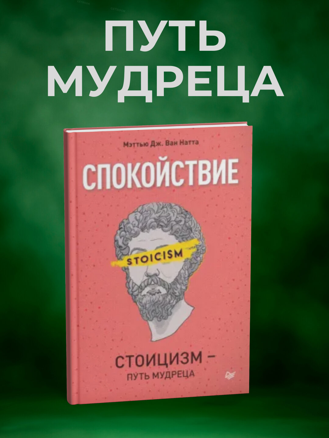 Книга "Спокойствие. Стоицизм - путь мудреца" Мэттью Ван Натта, 2025 г, черно-белая иллюстрация