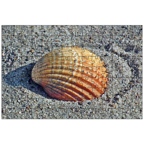 фото Магнитный пазл 27x18см."морская раковина, песок, море" на холодильник lotsprints