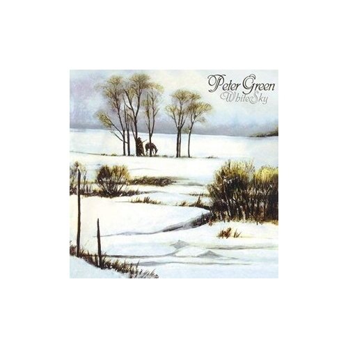 CD Warner Peter Green – White Sky