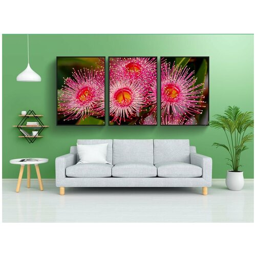 фото Набор модулных постеров для интерьера "цветы эвкалипта, цветы, цвести" 60x90 см. в тубусе, без рамки lotsprints