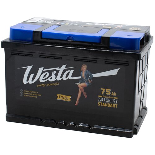 Аккумулятор автомобильный WESTA BLACK 75 А.ч. (700А) обратная полярность