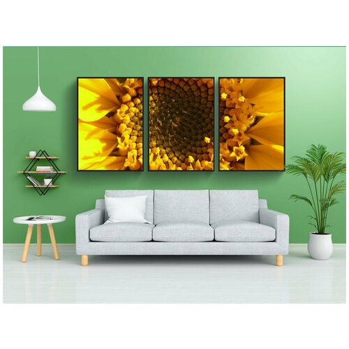 фото Набор модулных постеров для интерьера "соцветие, цветочная корзина, лучевые соцветия" 60x90 см. в тубусе, без рамки lotsprints