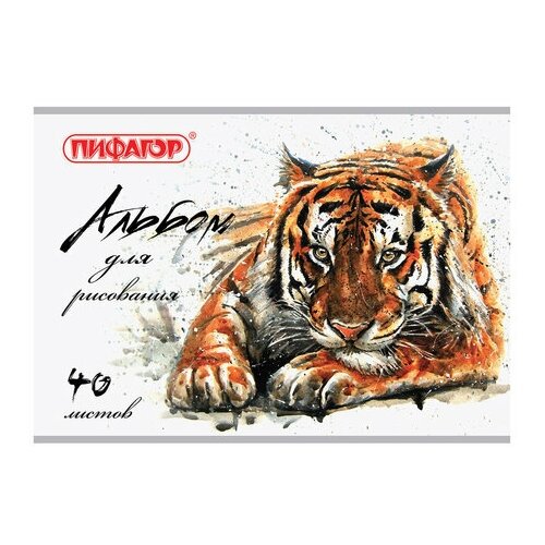 Пифагор Альбом для рисования А4 40 л, скоба, обложка офсет, , 205х290 мм, 