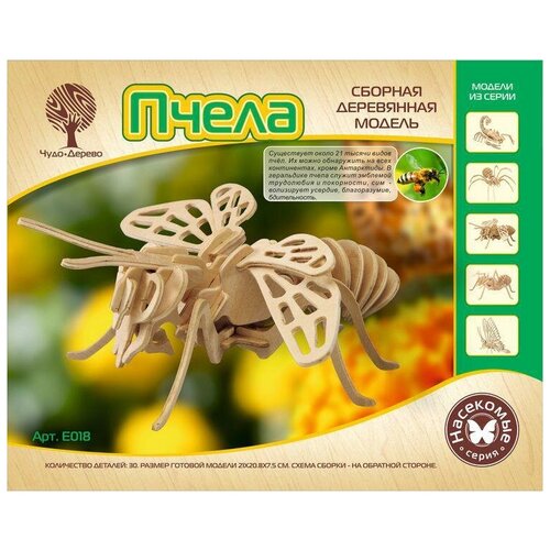 сборная модель vga wooden toys коляска 80094 Чудо-дерево (VGA Wooden Toys) Модель деревянная сборная Шмель малый