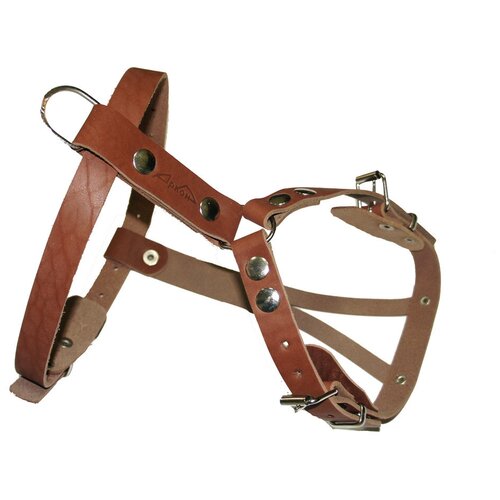 Шлейка для собак Аркон Стандарт, цвет: коньячный, длина 13 см шлейка аркон стандарт ш2е коньячный xl