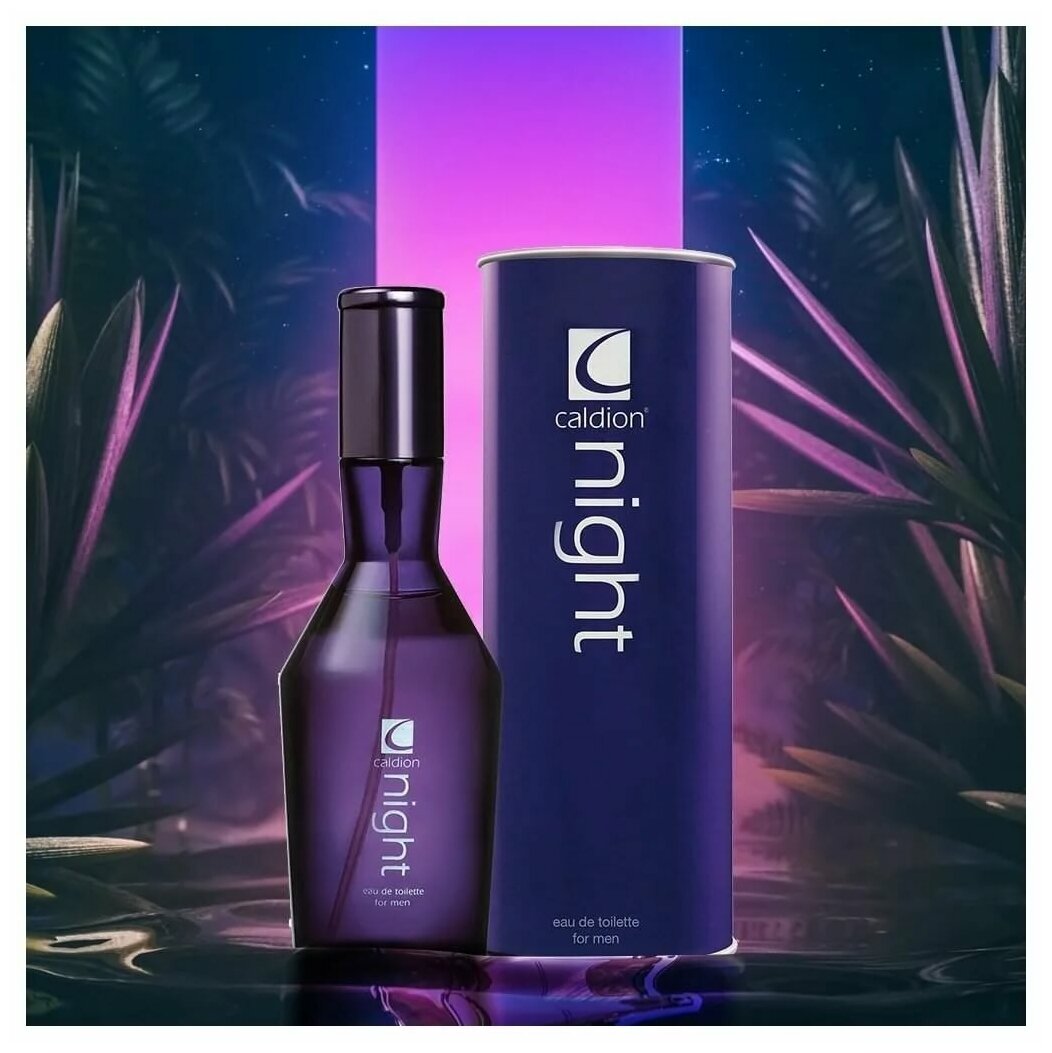 Caldion Night For Men Hunca 100 ml(Калдион для мужчин)