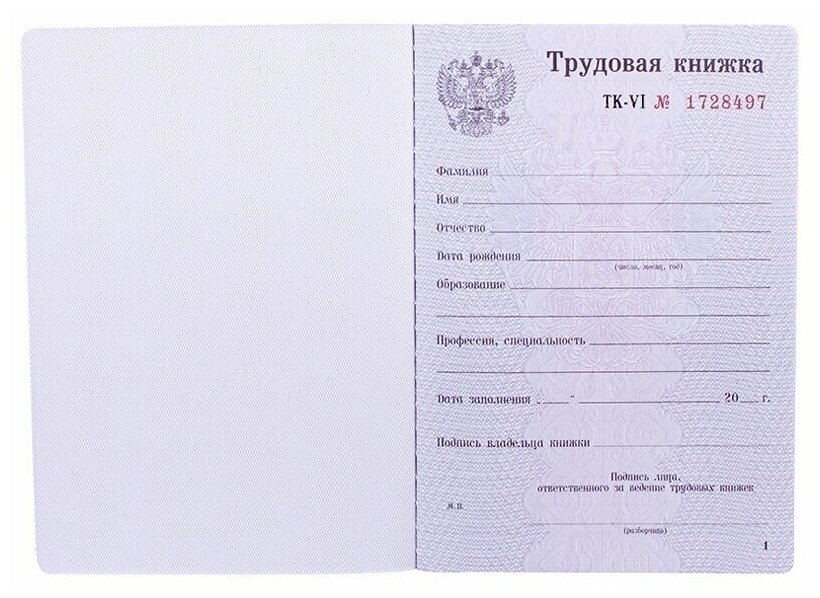 Пустой образец трудовой книжки