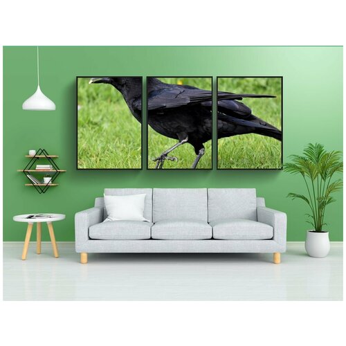 фото Набор модулных постеров для интерьера "ворона, ворон, чернить" 60x90 см. в тубусе, без рамки lotsprints