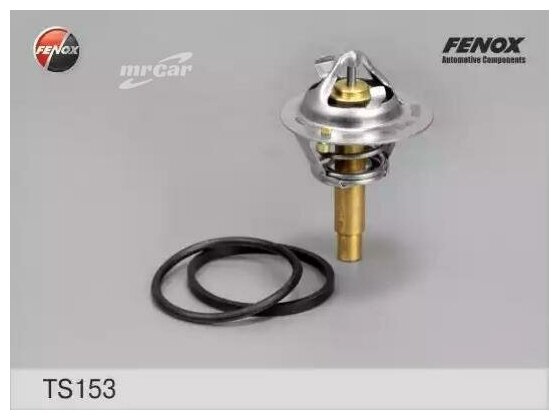 FENOX TS153 Термостат