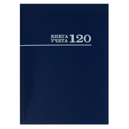 Книга Проф-Пресс 120-8671, синий, 120 л.