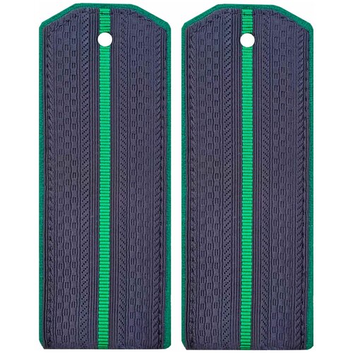 Погоны пограничных войск один просвет картонные