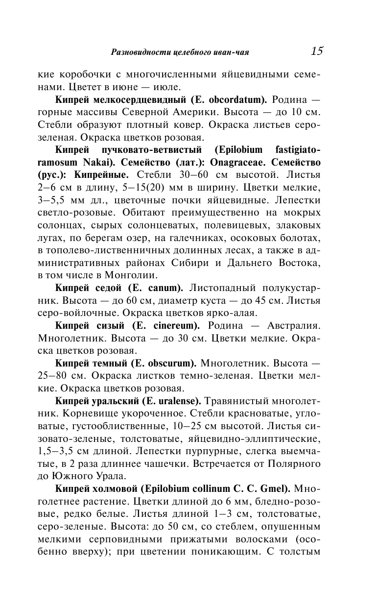 Целебный иван-чай (Даников Николай Илларионович) - фото №12