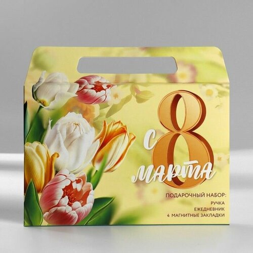 Набор в портфеле ежедневник А5 магнитные закладки и ручка 8 марта 734₽