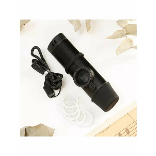 Музыкальный инструмент Казу 1407₽