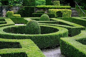 Основная фотография от вендора