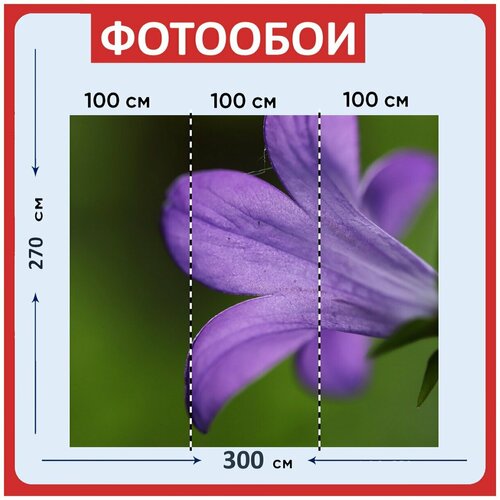 Фотообои Колокольчик цвести синий 300x270 см флизелиновыена стену 3950₽
