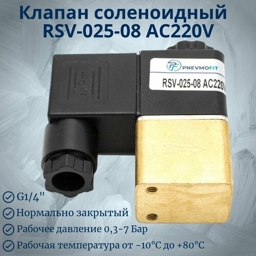 Электромагнитный клапан RSV-025-08 AC220V (воздух, вода, масло)