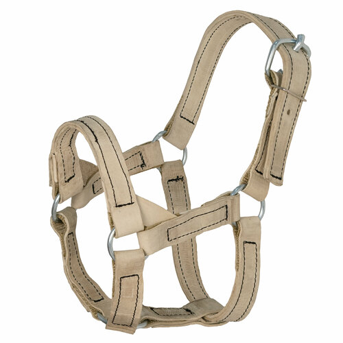 Недоуздок для жеребят , сыромять 25 мм / REITER