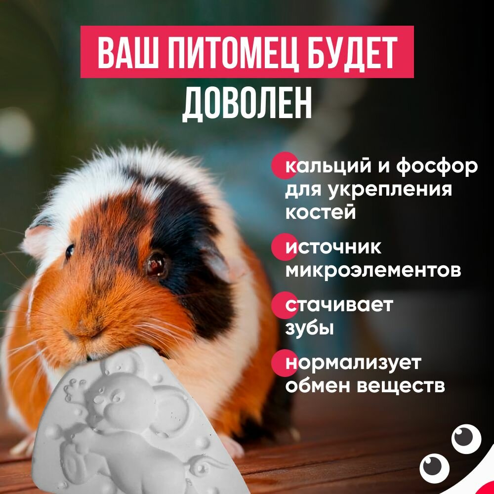 Минеральный камень для декоративных грызунов, 50г. Корм для кроликов, морских свинок, шиншилл, витамины для крыс и мышей — фото 1