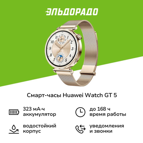 Смарт-часы HUAWEI Watch GT 5 41mm Golden 19999₽