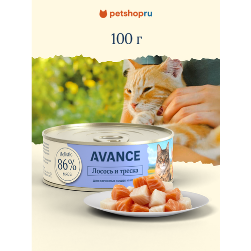 AVANCE holistic Консервы для взрослых кошек и котят с лососем и треской, 100 гр