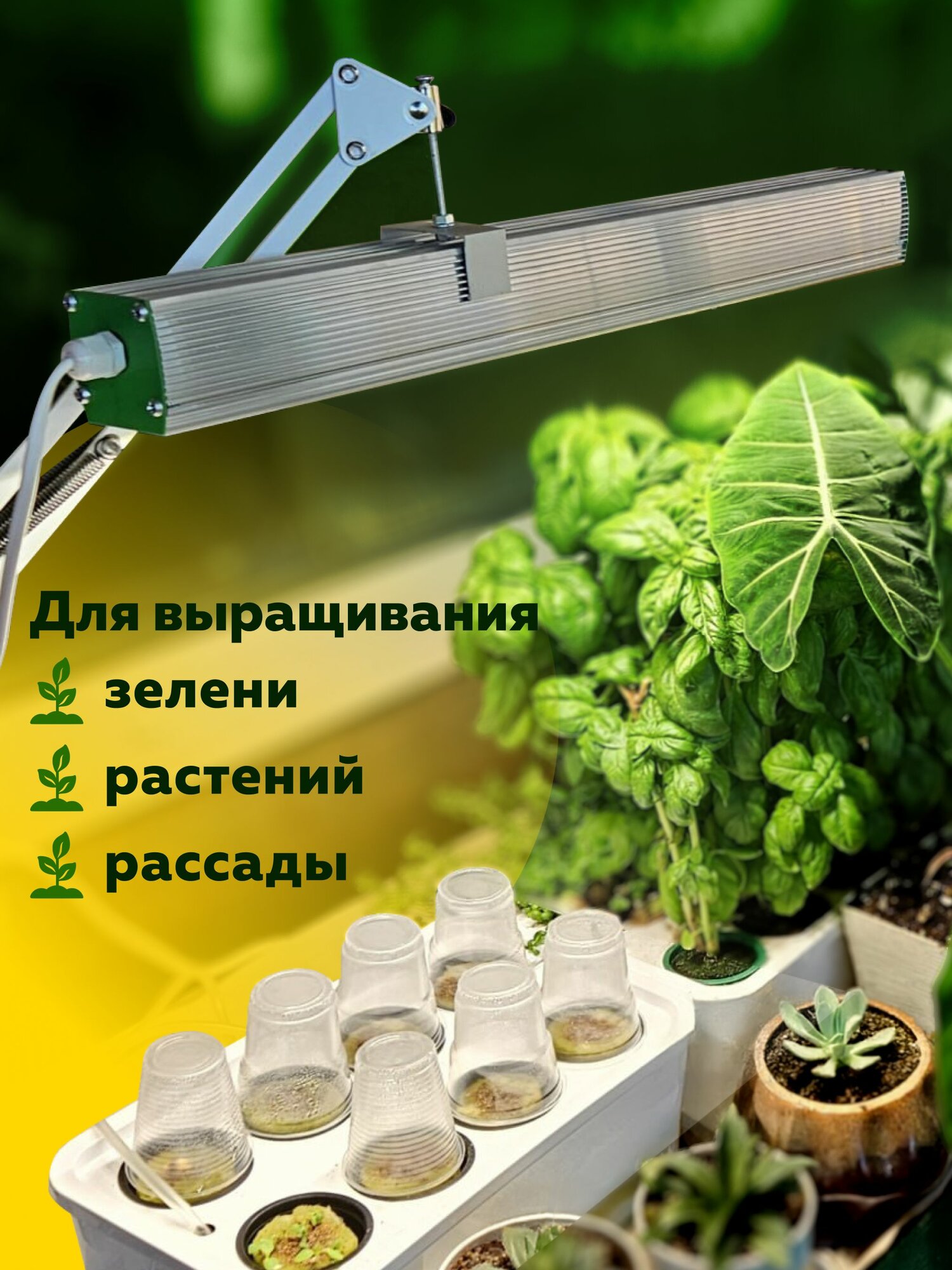 Изображение Система выращивания с профессиональной фитолампой агроло Максимальная, Настольная садовая ферма, Гидропоника
