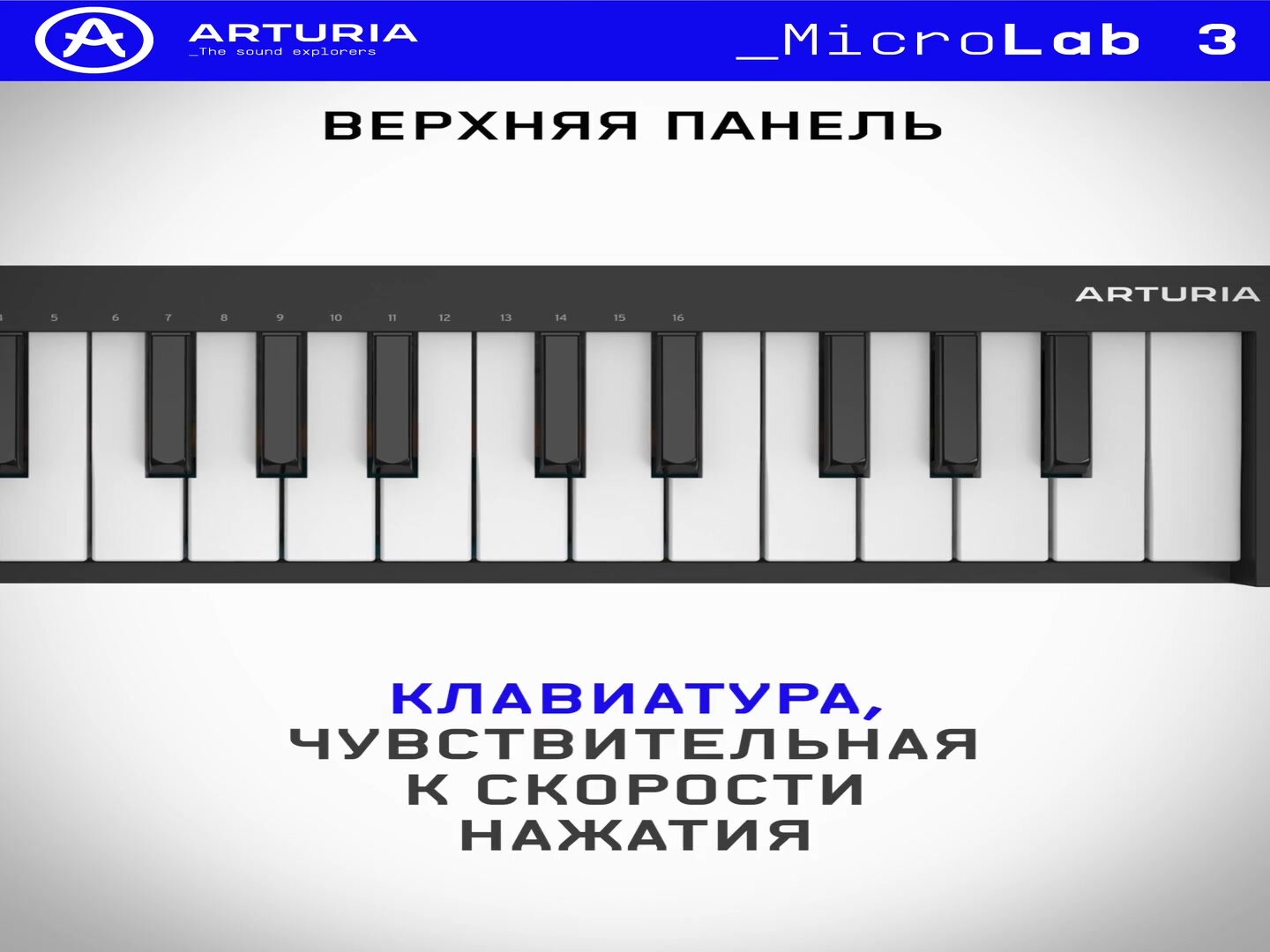 MIDI клавиатура Arturia MicroLab 3 Black, 25 клавиш, чувствительных к скорости нажатия — фото 1