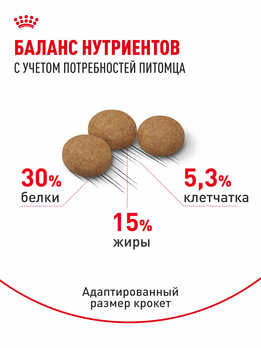 Сухой корм для стерилизованных кошек Royal Canin Sterilised Ageing 12+, 4 кг — фото 1