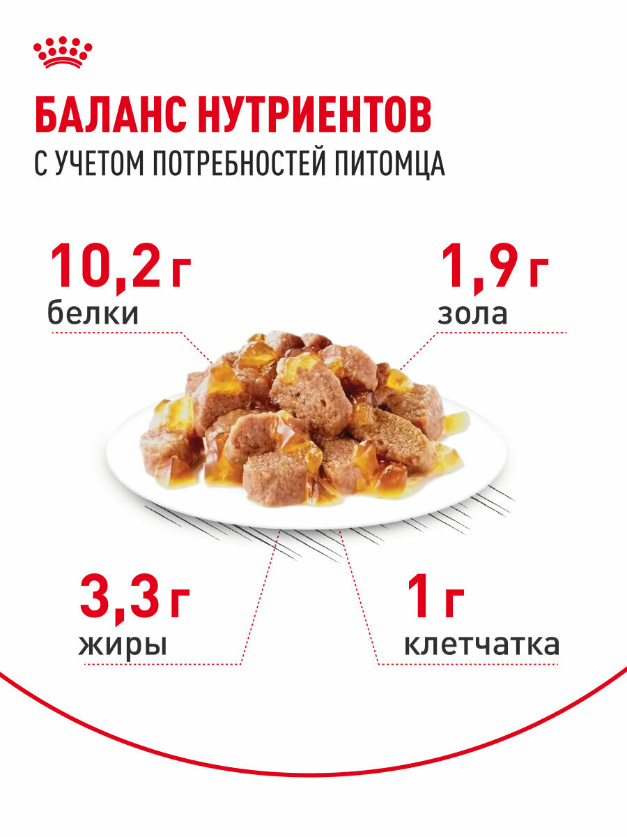 Royal Canin INDOOR STERILISED 7+ (ИНДОР СТЕРИЛАЙЗД 7+) Корм консервированный полнорационный для кошек (в возрасте от 7 до 12 лет), живущих в помещении, мелкие кусочки в желе, 28 шт по 85г — фото 1
