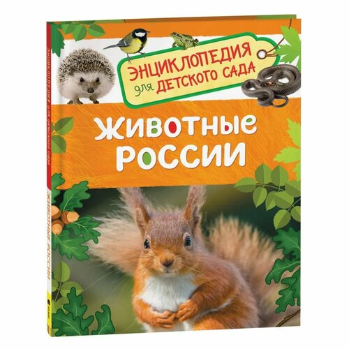 Энциклопедия для детского сада «Животные России» травина и животные россии энциклопедия для детского сада