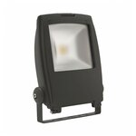 Прожектор светодиодный 30 Вт Kanlux RINDO LED MCOB-30-GM - изображение