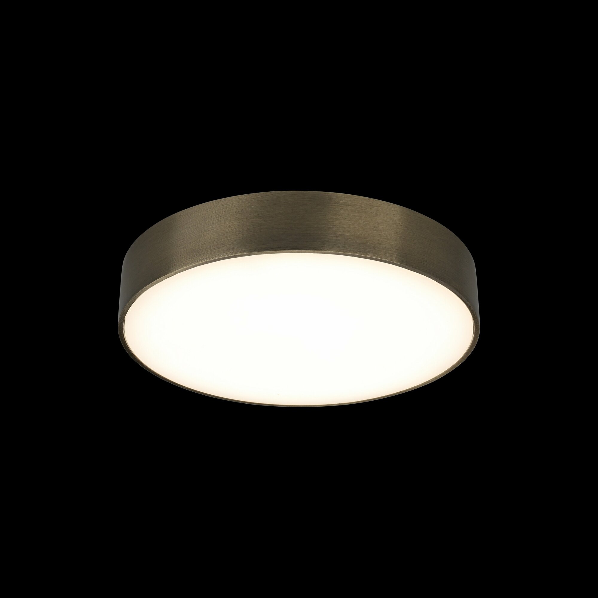 Потолочный светильник Aployt Evon APL.0114.29.24 - фотография № 4