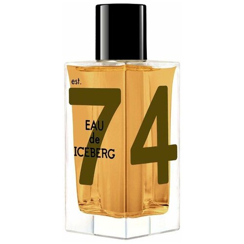 Iceberg туалетная вода Eau de Iceberg Amber, 100 мл туалетная вода iceberg eau jasmine 100 мл