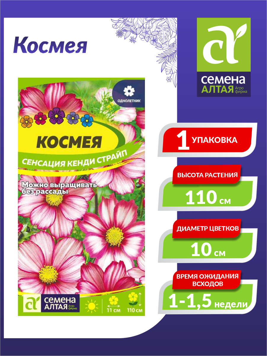 Семена Космея Сенсация Кенди Страйп 0.5г Одн 110см (Семена Алтая)
