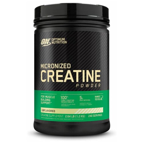 Креатин Optimum Nutrition Micronised Creatine Powder, 1200 гр. креатин optimum nutrition creatine 300 шт