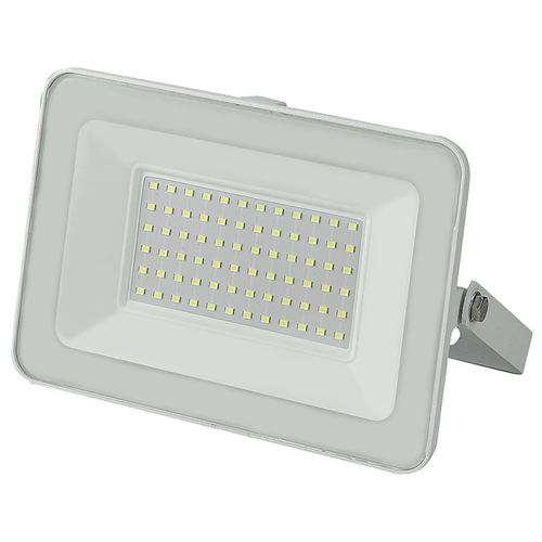 Прожектор светодиодный GENERAL LIGHTING 403128, 70 Вт, свет: холодный белый