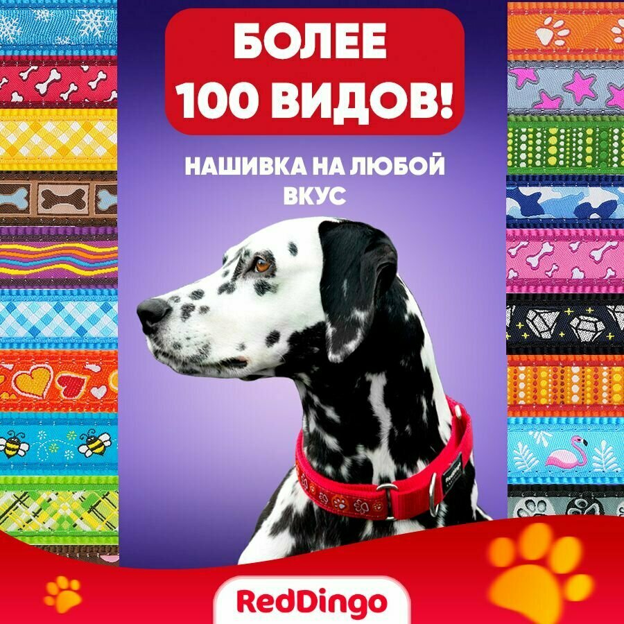 Mартингейл ошейник для собак Red Dingo красный Plain - фотография № 7