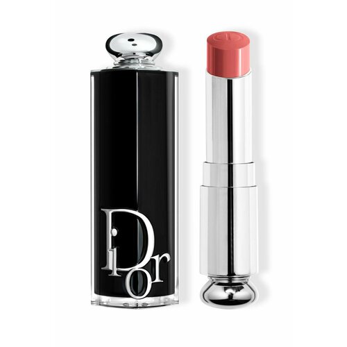 Dior Помада для губ Dior Addict, #422 Rose des Vents