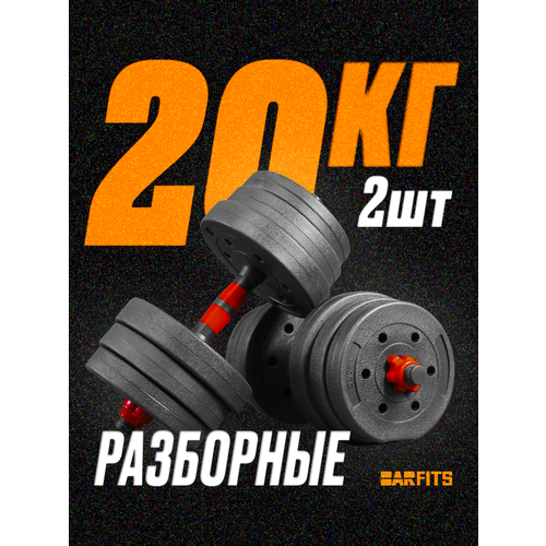 Гантели композитные разборные набор 2 шт по 10 кг, общий вес 20кг, Без переходника