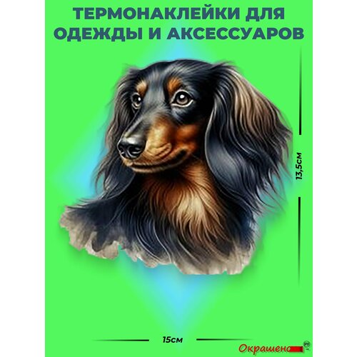 фото Термонаклейка / термотрансфер для декора одежды и аксессуаров "такса длинношерстная" окрашенору