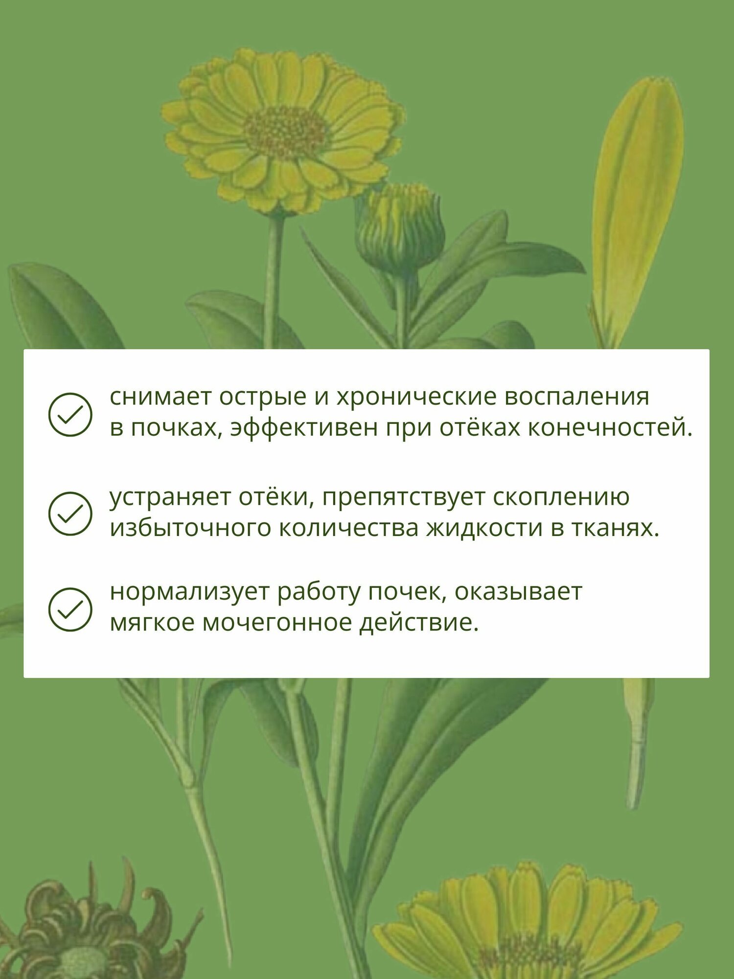 Картинки Травяной сбор против отеков ФП № 46 почечный чай, мочегонный, при воспалении почек, мочевого пузыря
