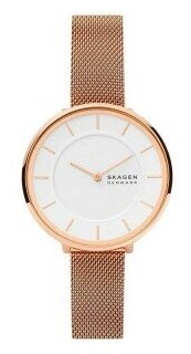 Наручные часы SKAGEN SKW3013, золотой, розовый